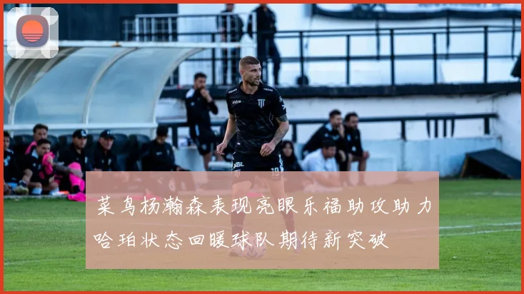 菜鸟杨瀚森表现亮眼乐福助攻助力哈珀状态回暖球队期待新突破