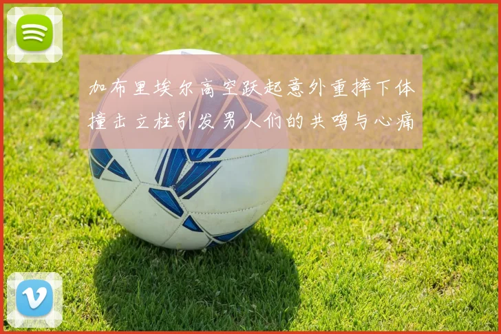 加布里埃尔高空跃起意外重摔下体撞击立柱引发男人们的共鸣与心痛