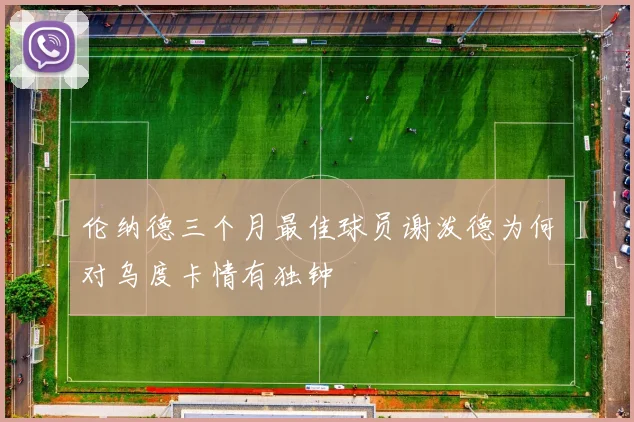 伦纳德三个月最佳球员谢泼德为何对乌度卡情有独钟