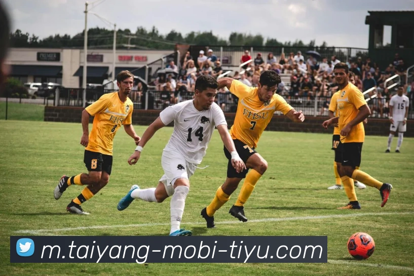 多媒体互动体验