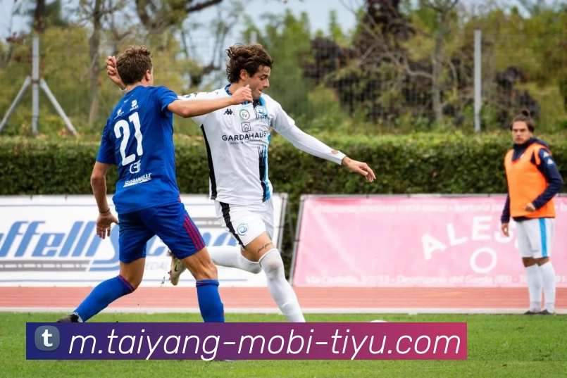 太阳城APP 体育赛事宣传图